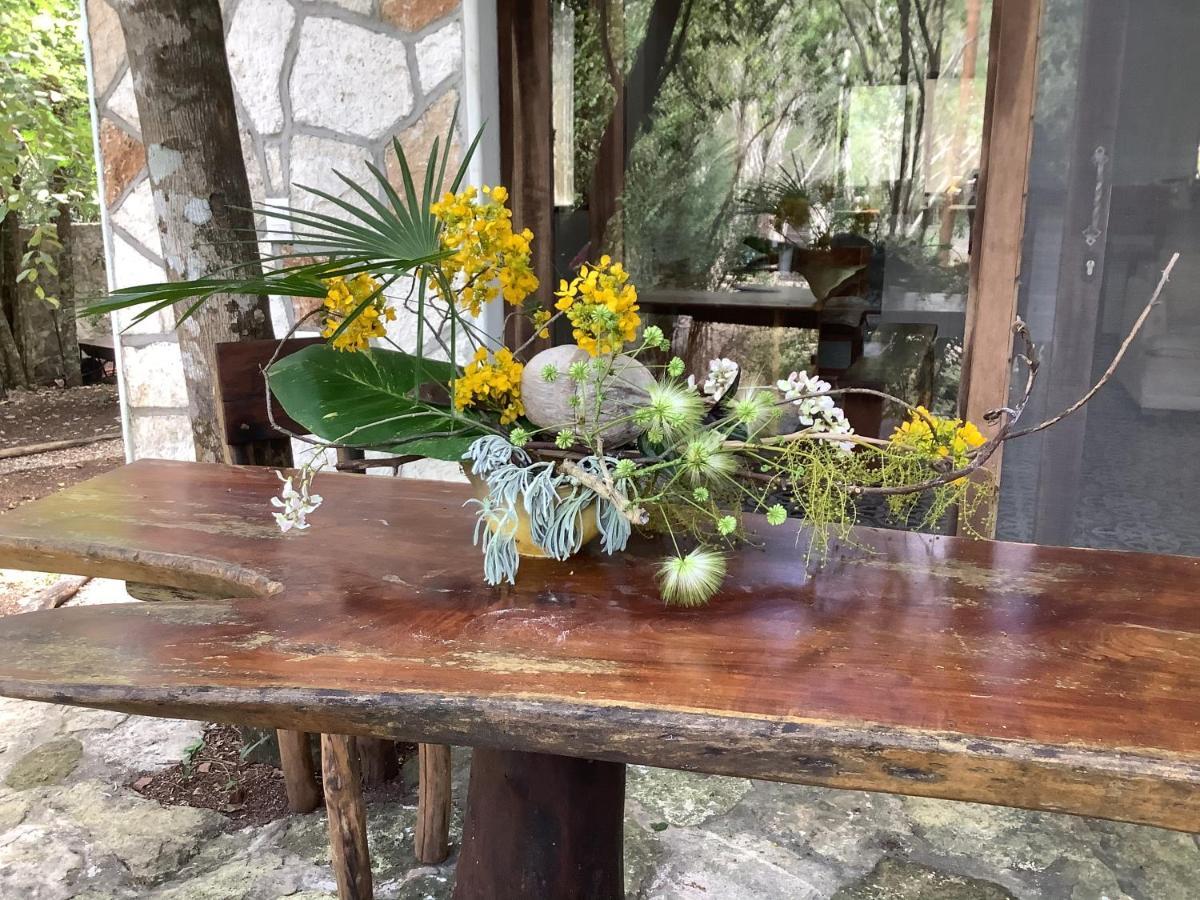 Escarabajo Rojo Alojamento de Acomodação e Pequeno-almoço Tulum
